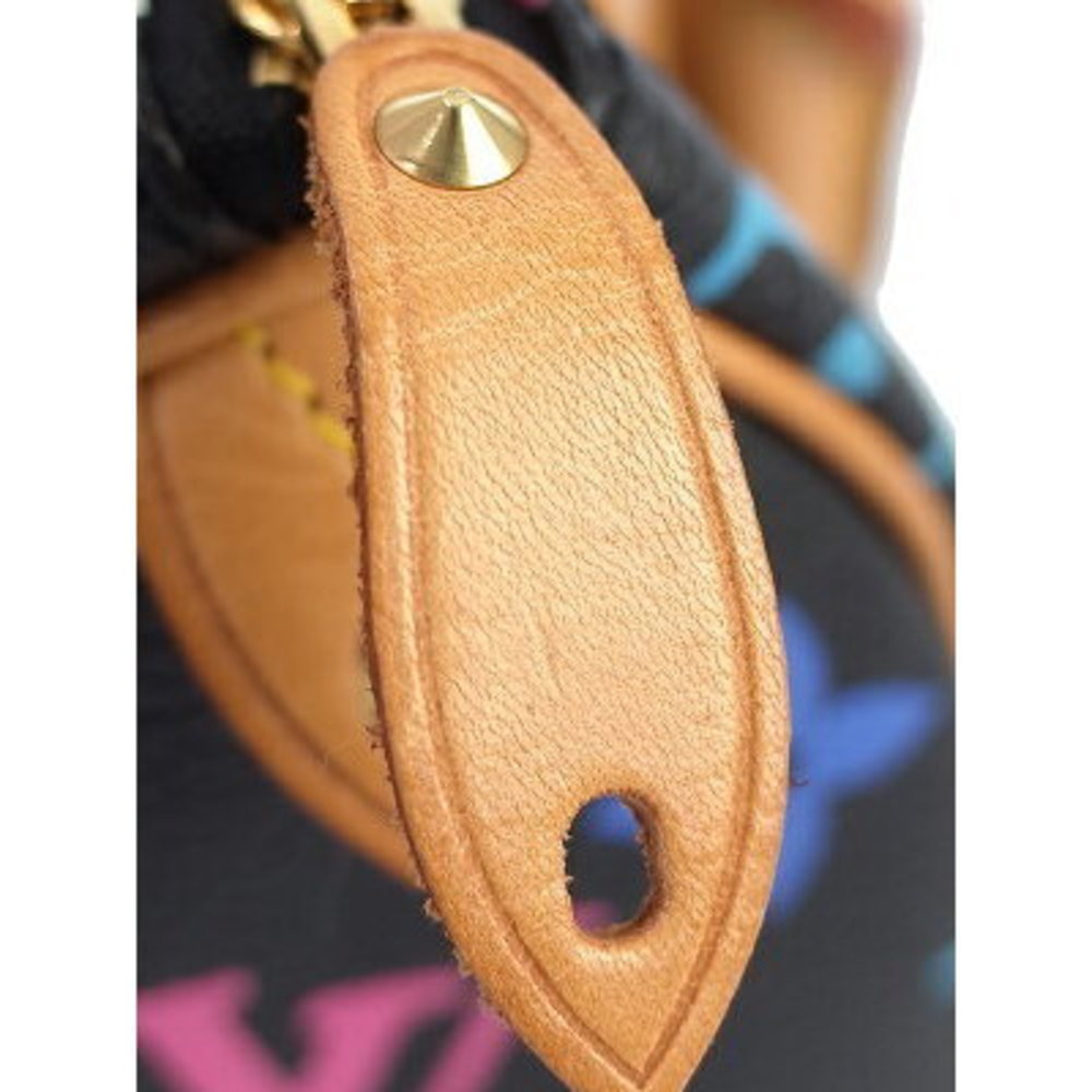Louis Vuitton Multicolor Speedy Handbag - Picture 5 of 8